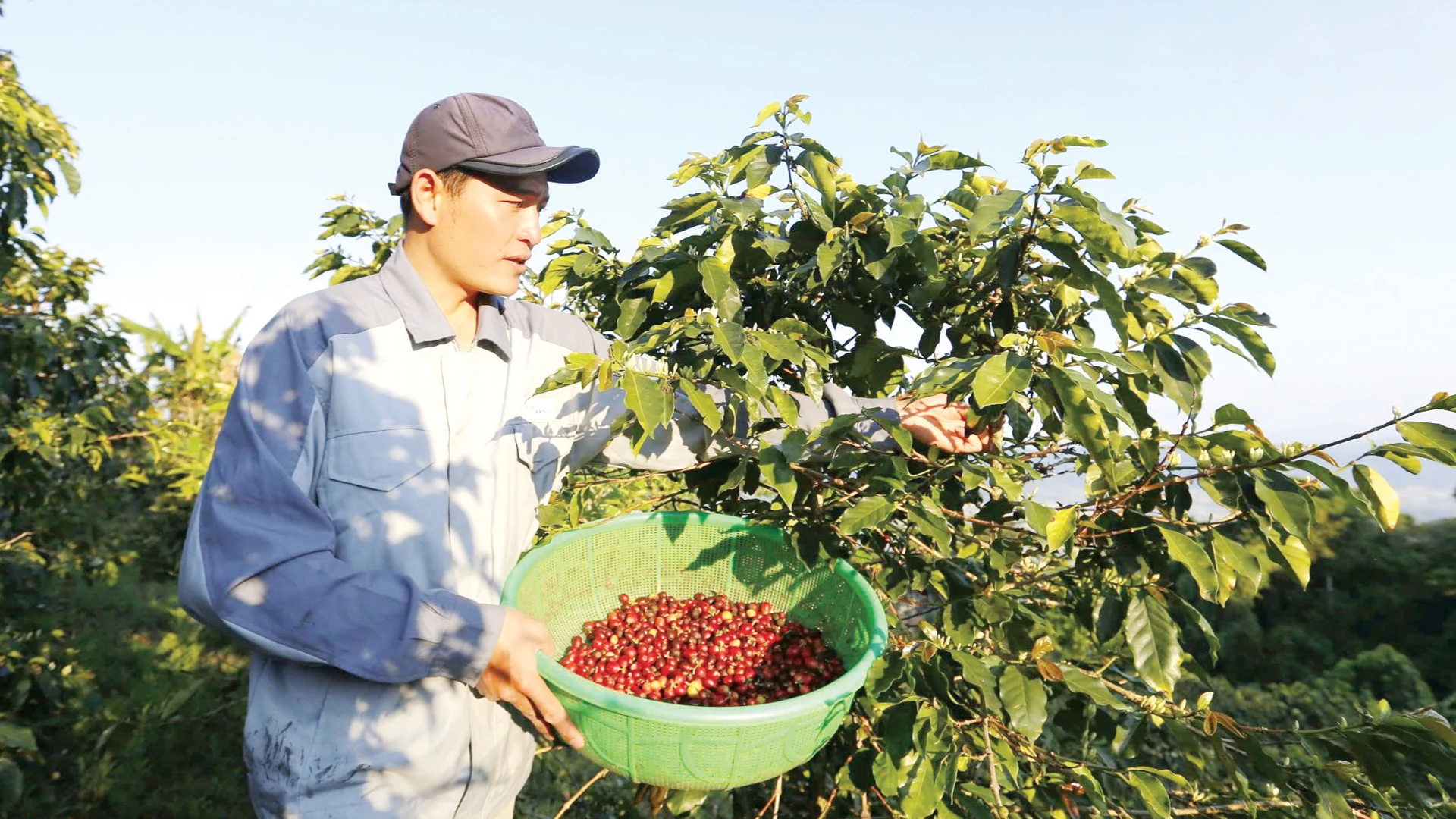 Sạch từ đất, xanh từ ý thức