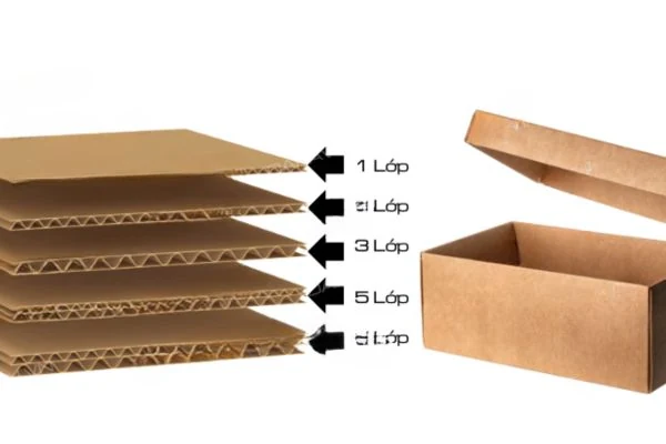Thùng Carton Là Gì? Cấu Tạo Và Các Loại Thùng Hiện Nay