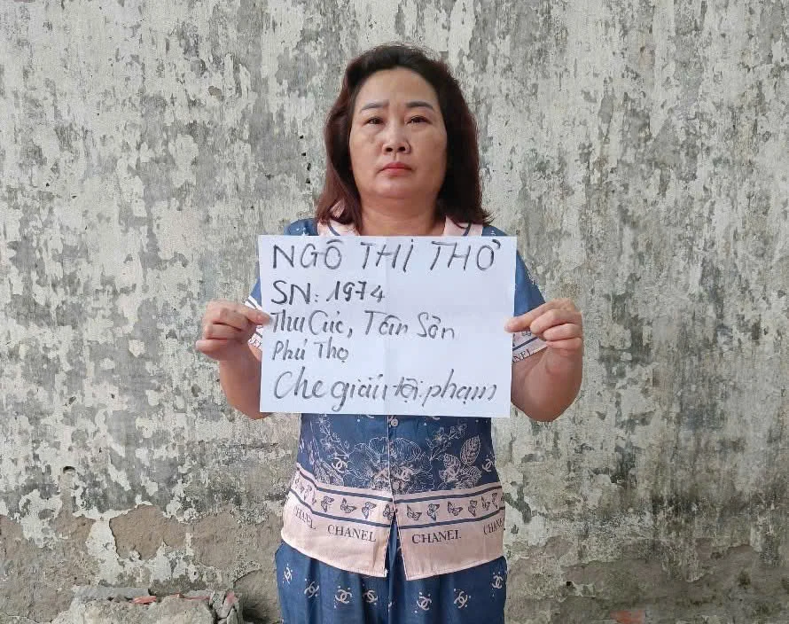 Khởi tố 3 đối tượng người Phú Thọ về tội che giấu tội phạm