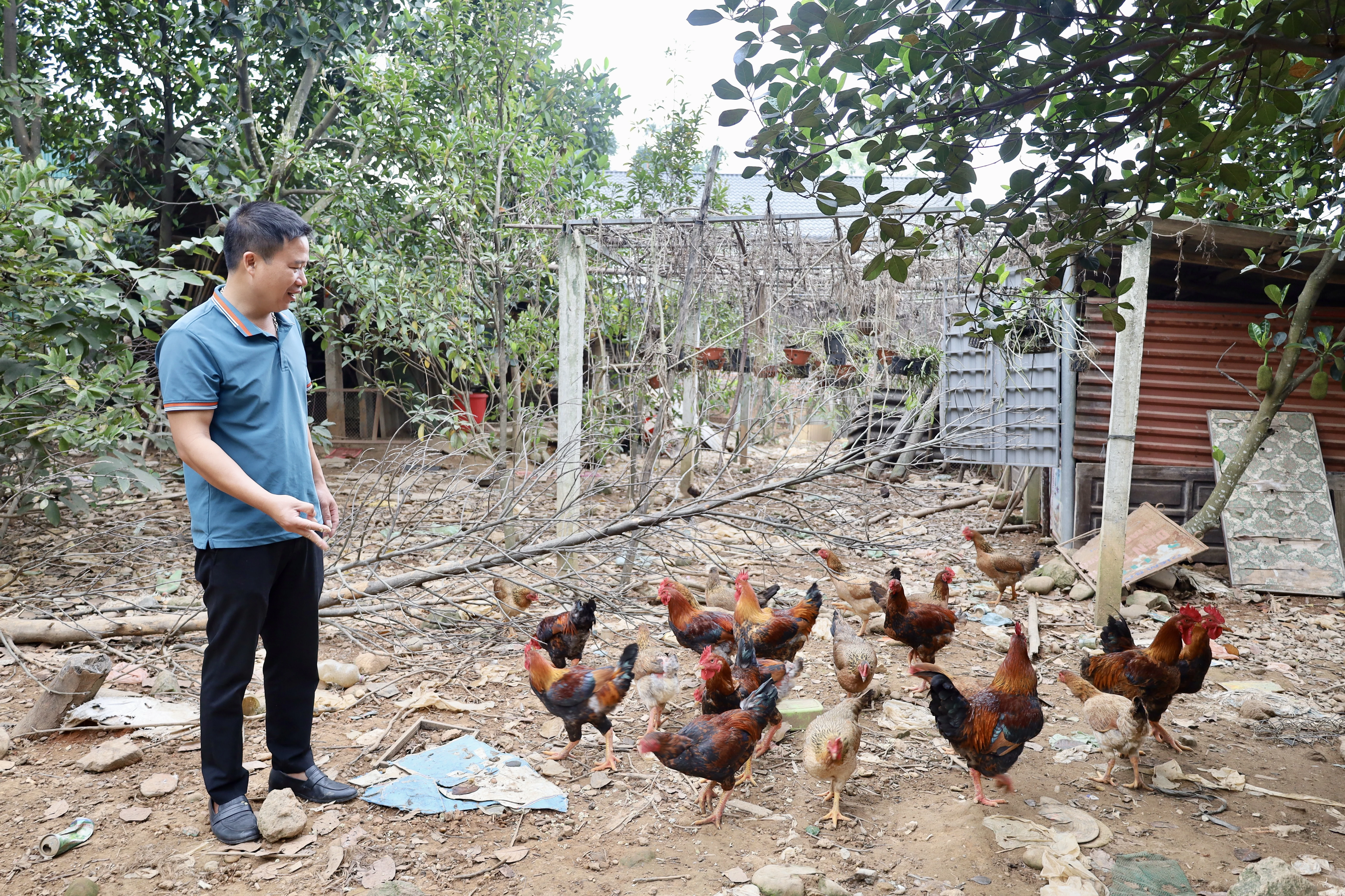 Đa dạng mô hình phát triển kinh tế ở Văn Lang