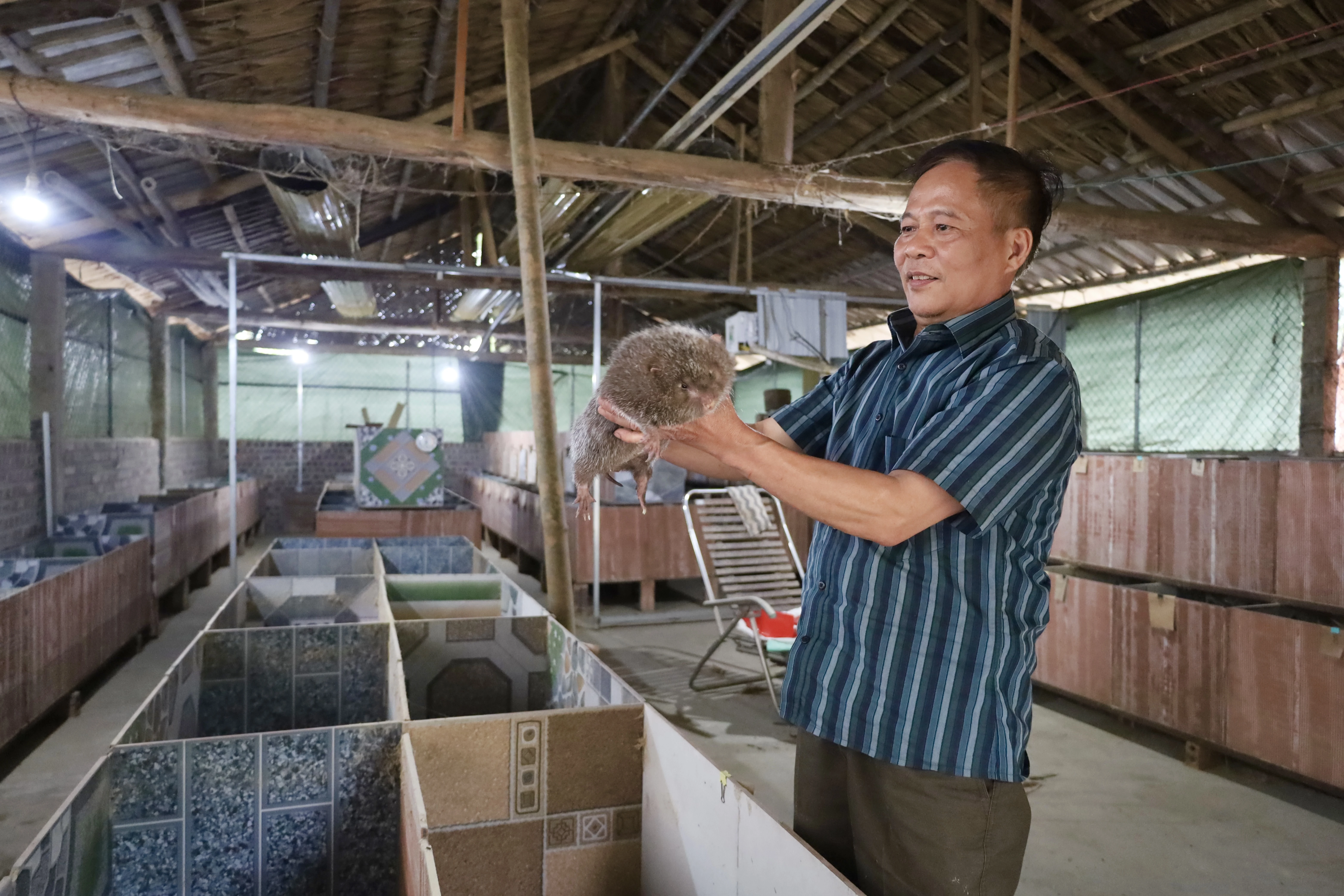 Đa dạng mô hình phát triển kinh tế ở Văn Lang