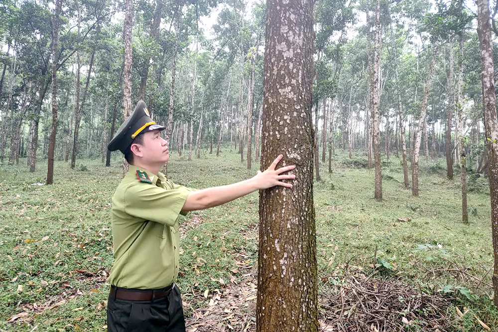 Giải pháp cho tương lai xanh