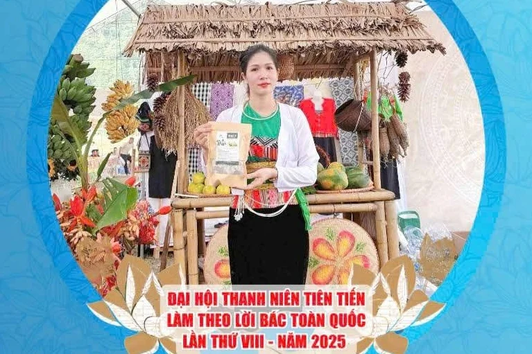 Phú Thọ có 6 đại biểu tham gia Đại hội Thanh niên tiên tiến làm theo lời Bác toàn quốc lần thứ VIII