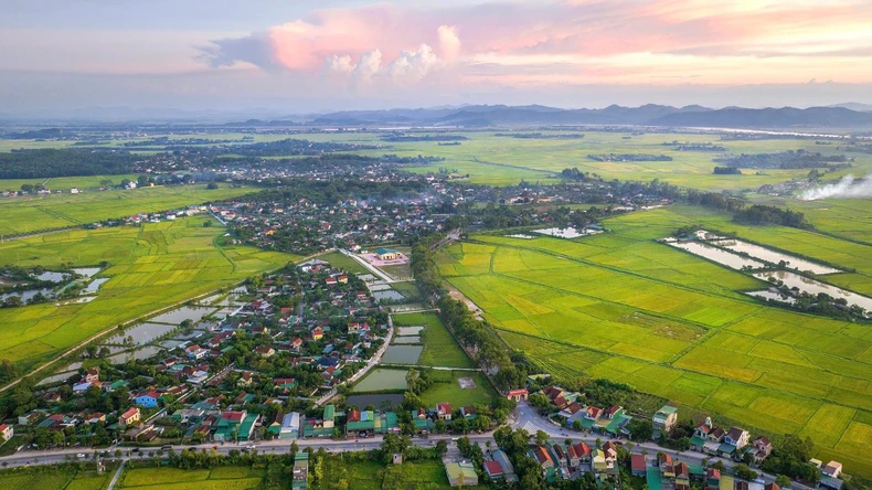 Làng Sen, điểm hẹn tháng 5