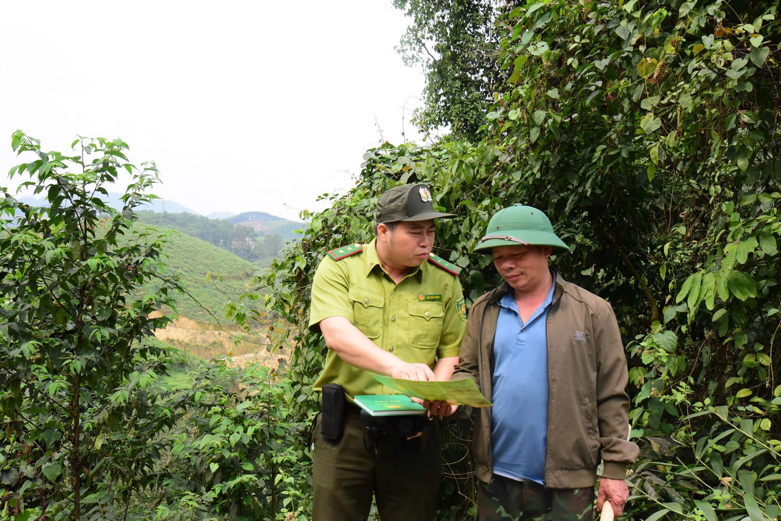 Bảo vệ rừng ở Đoan Hùng