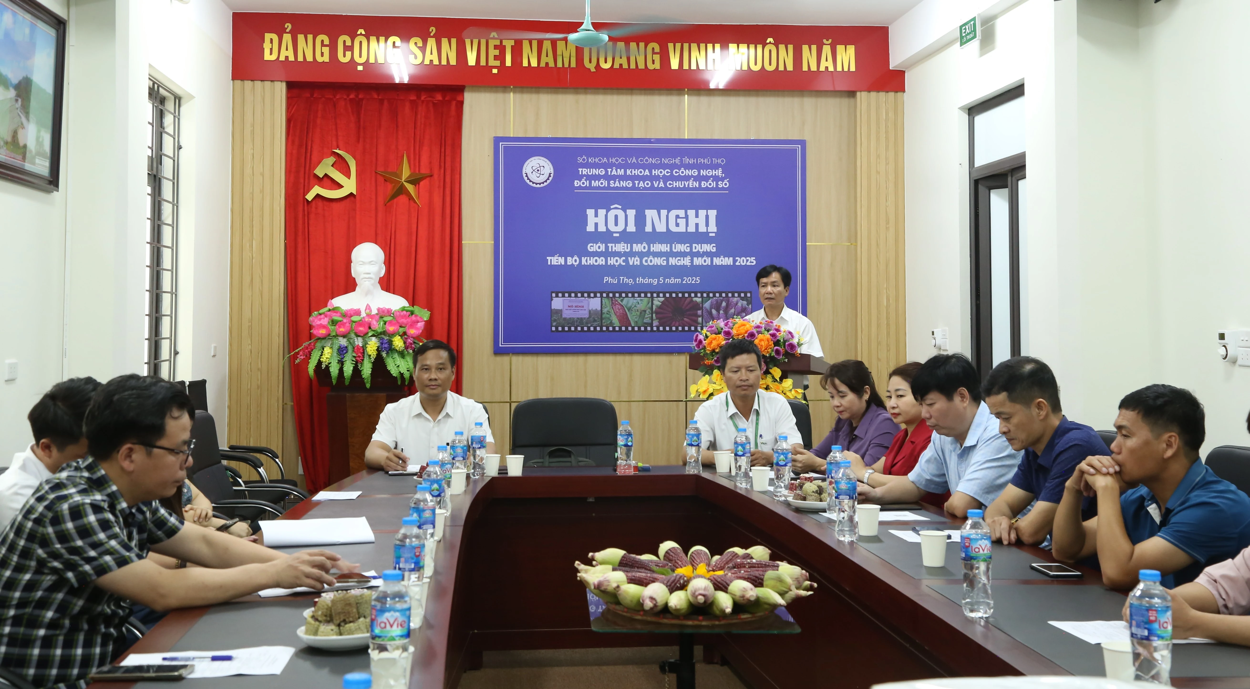 Có thể nhân rộng giống ngô hoa quả VNUA141 tại Phú Thọ