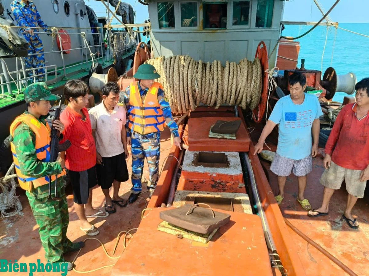 Như những cánh hải âu vững vàng trên biển