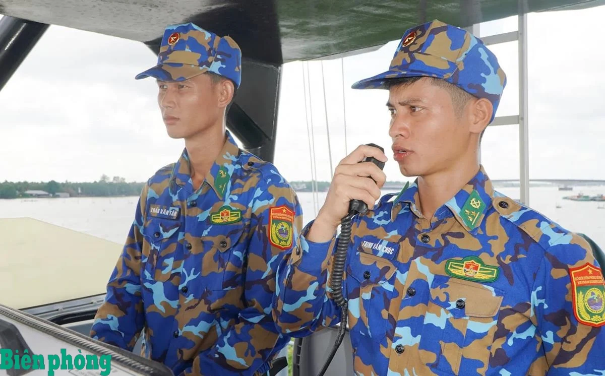 Như những cánh hải âu vững vàng trên biển