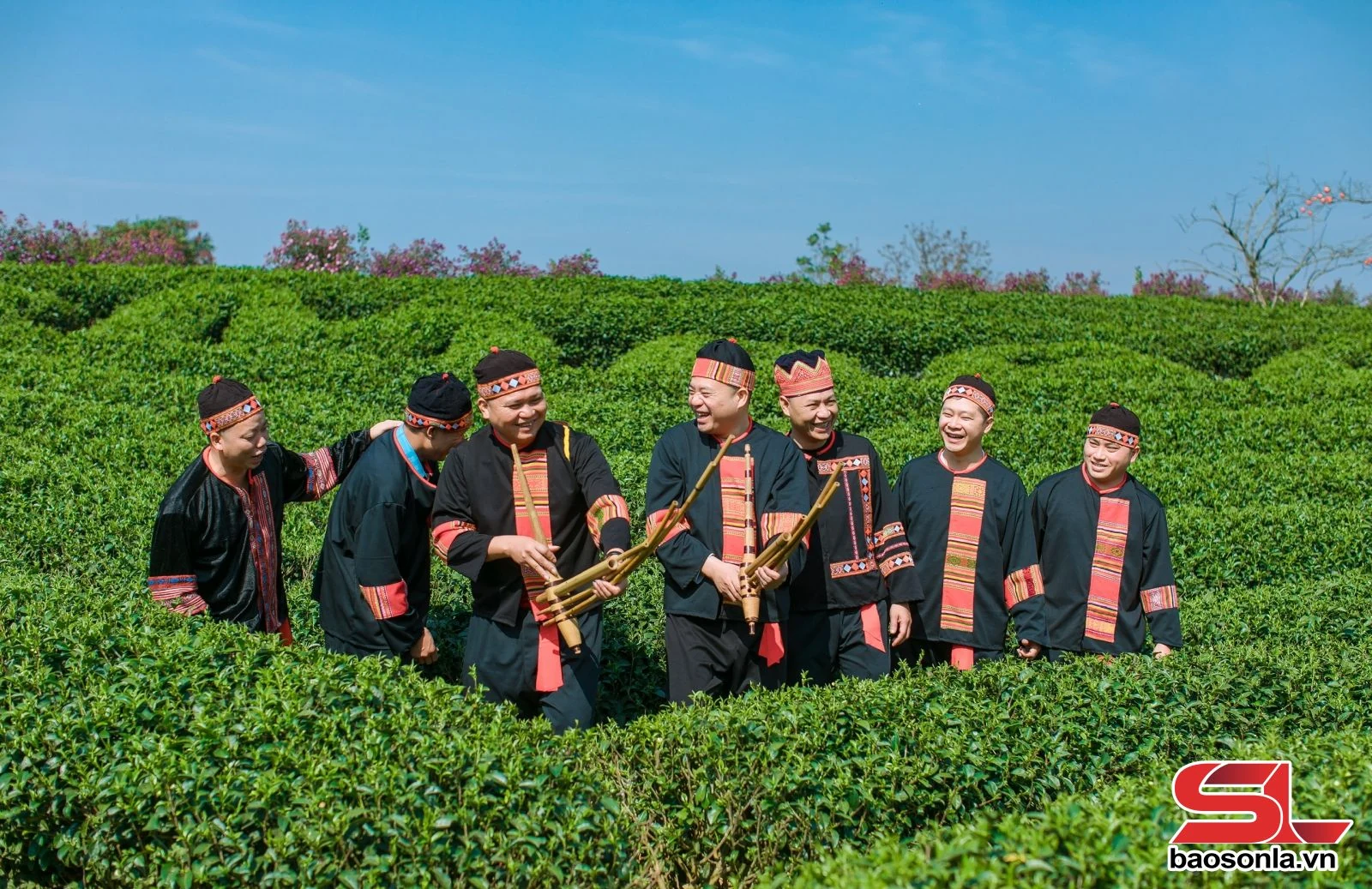 Đồi chè Mộc Châu - điểm đến hấp dẫn du khách