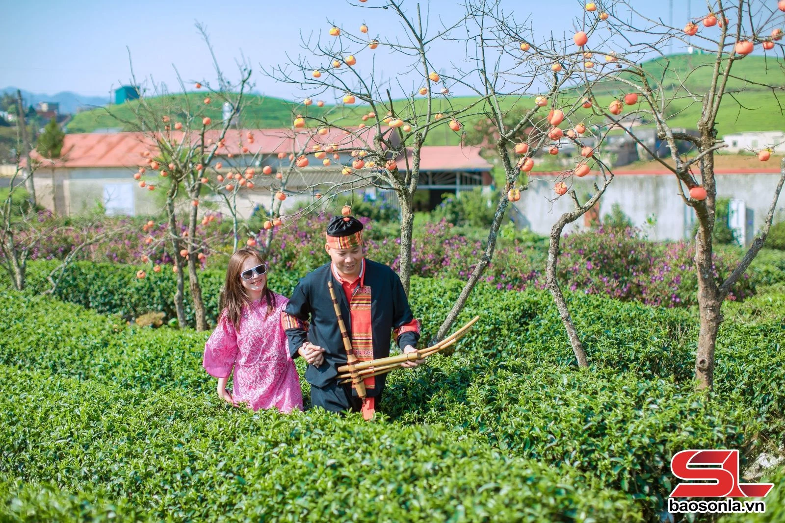 Đồi chè Mộc Châu - điểm đến hấp dẫn du khách