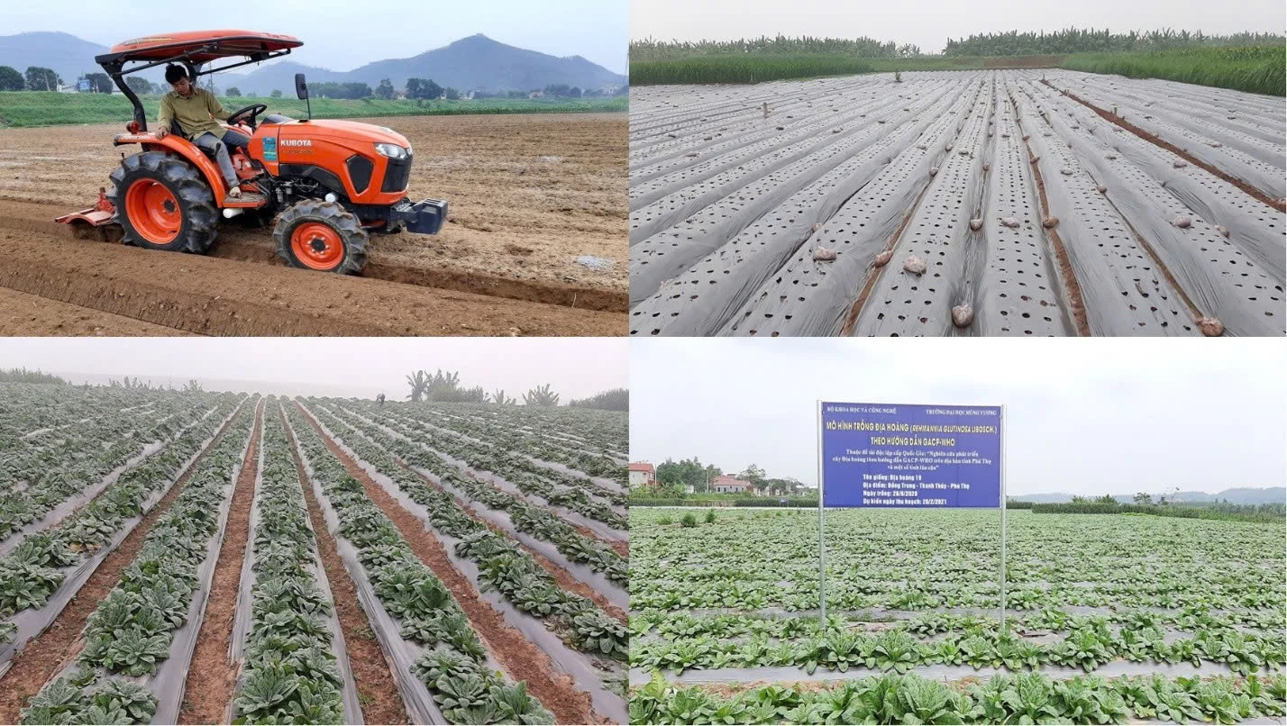 Trường Đại học Hùng Vương: Khẳng định thế mạnh trong hoạt động Khoa học và Công nghệ