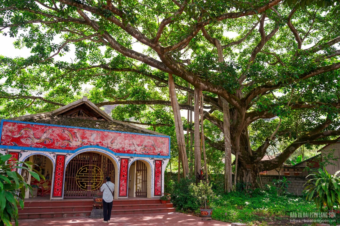 Quỳnh Sơn - Vẻ đẹp Xứ Lạng