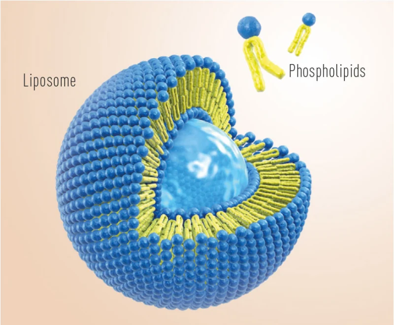 Thiếu Magie: “Thủ phạm thầm lặng” gây ra loạt vấn đề sức khỏe