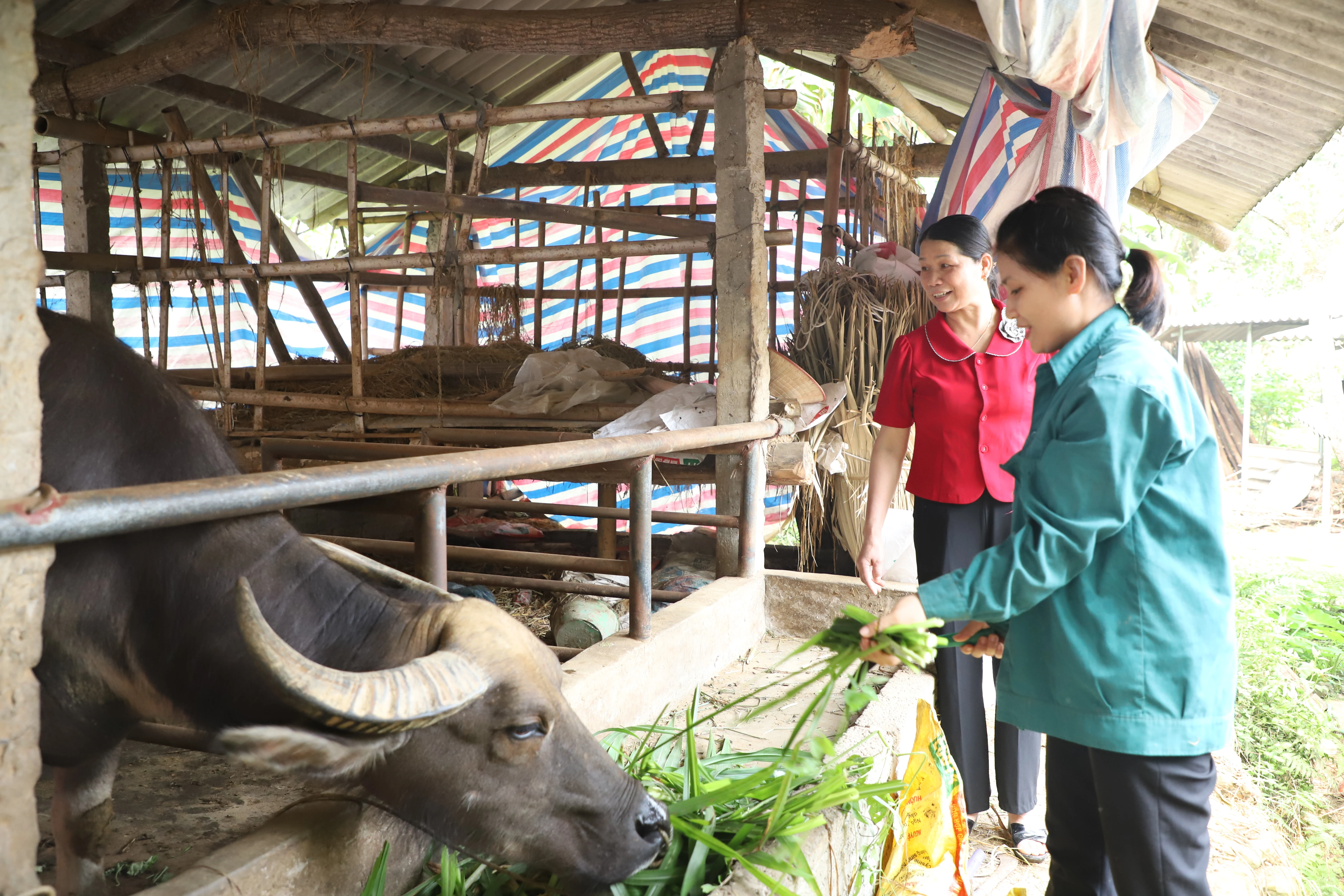Phụ nữ Yên Lập thi đua yêu nước