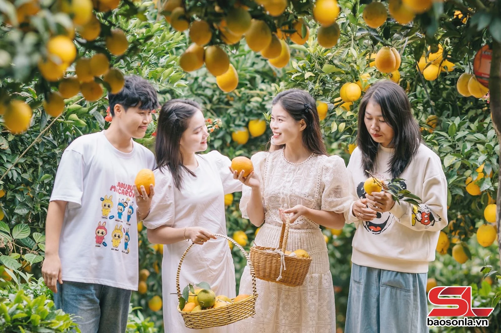 Phát triển cây ăn quả gắn với du lịch