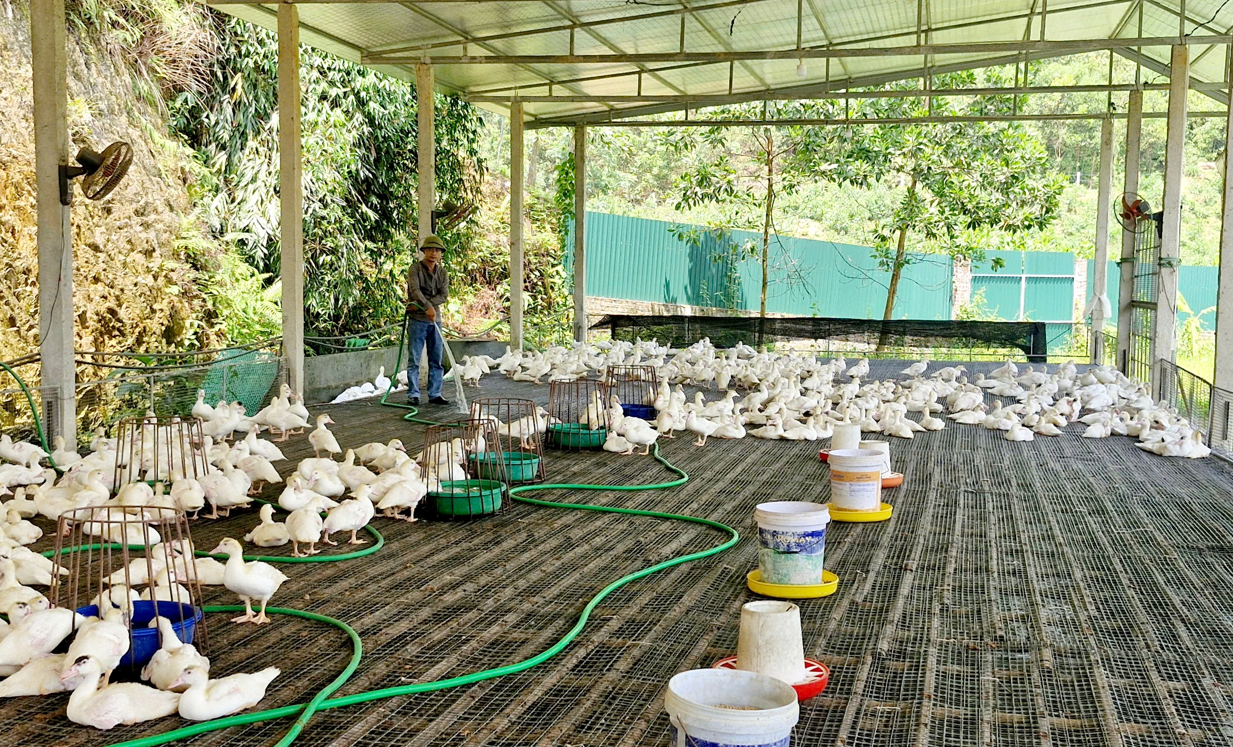 Thanh Sơn tạo đà hoàn thành các chỉ tiêu kinh tế - xã hội 5 năm