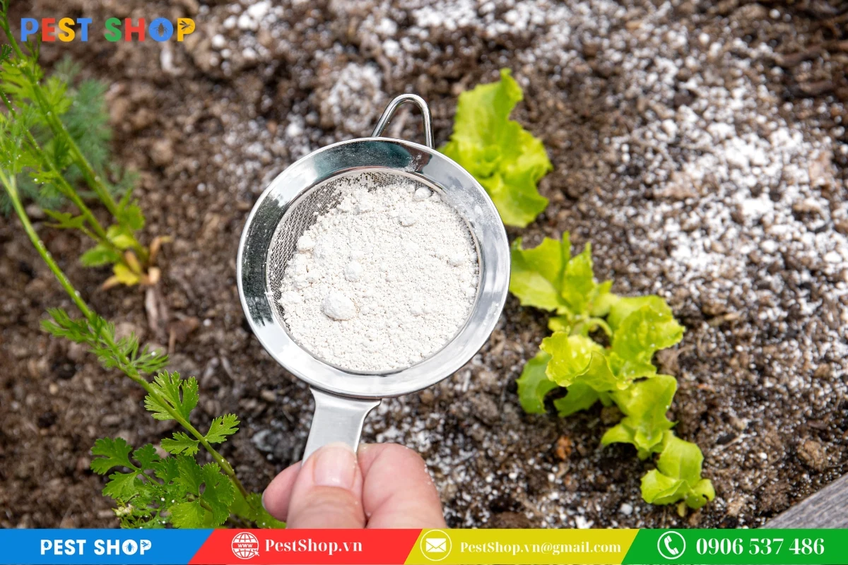 Bí quyết đuổi rắn ra khỏi vườn hiệu quả cập nhật 2025