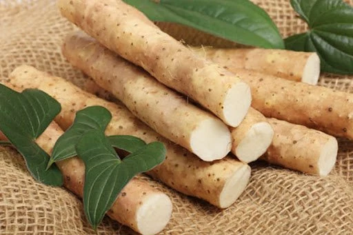 Món ăn bài thuốc hỗ trợ trị rối loạn tiêu hóa mùa hè