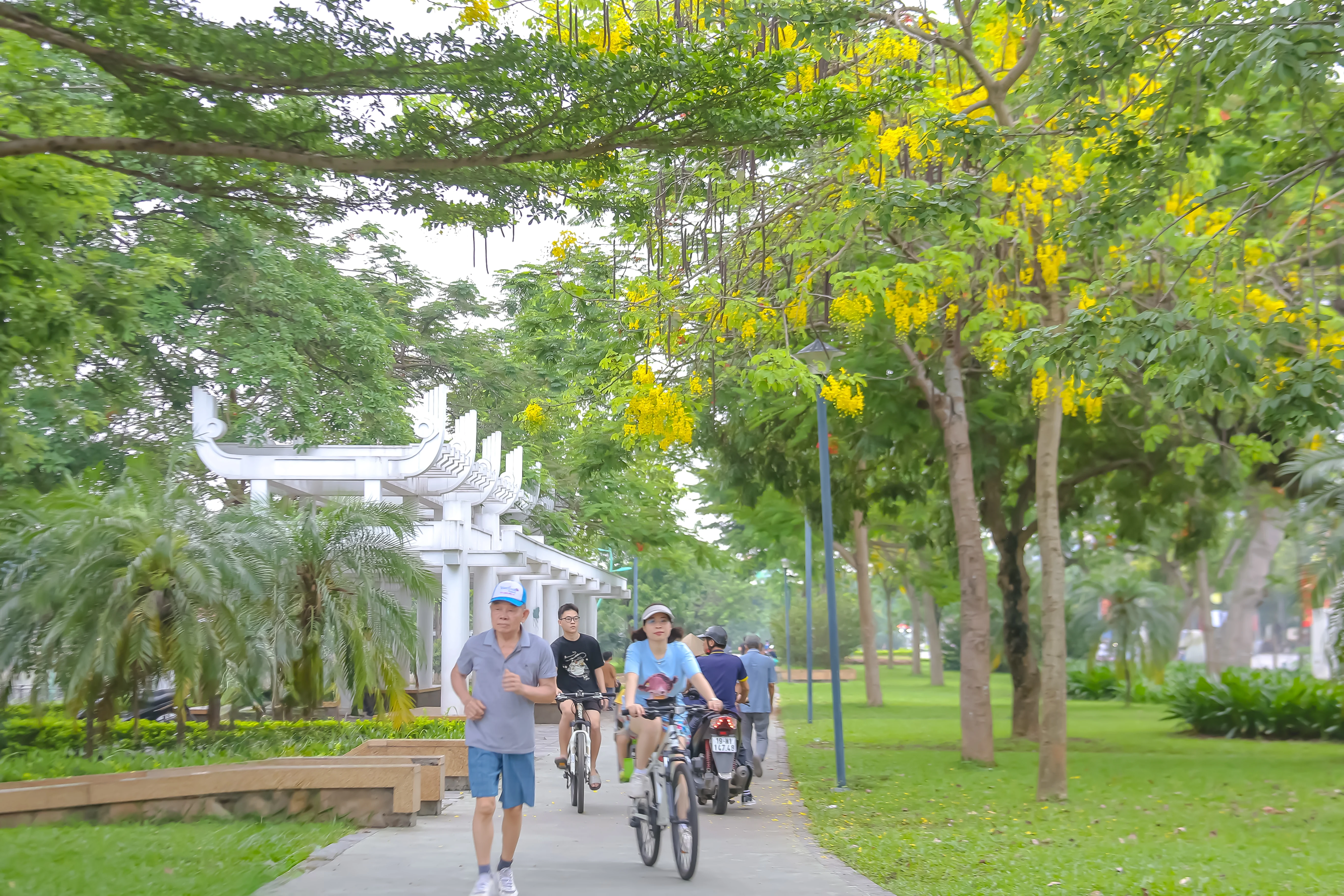 Sắc vàng nắng hè