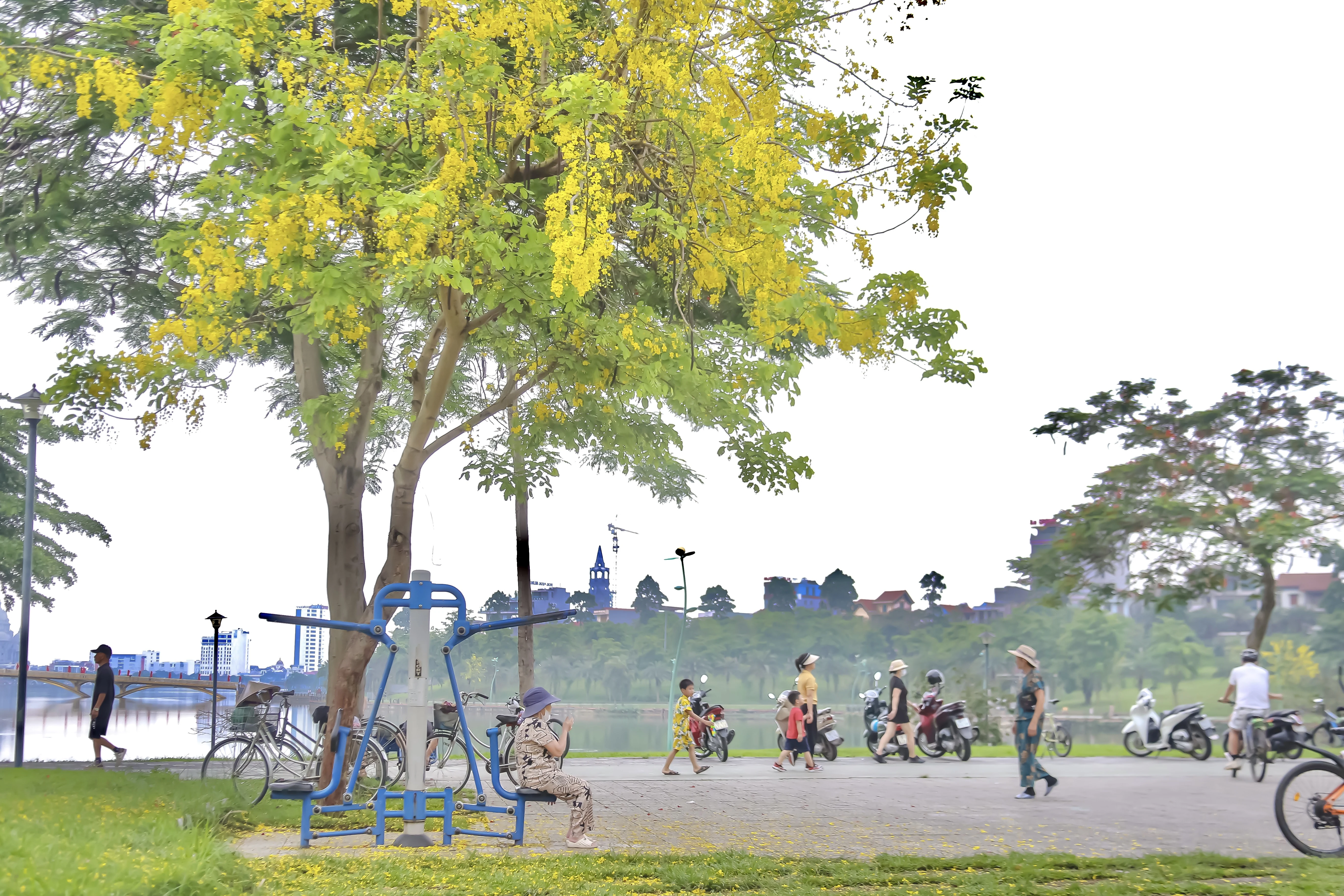 Sắc vàng nắng hè