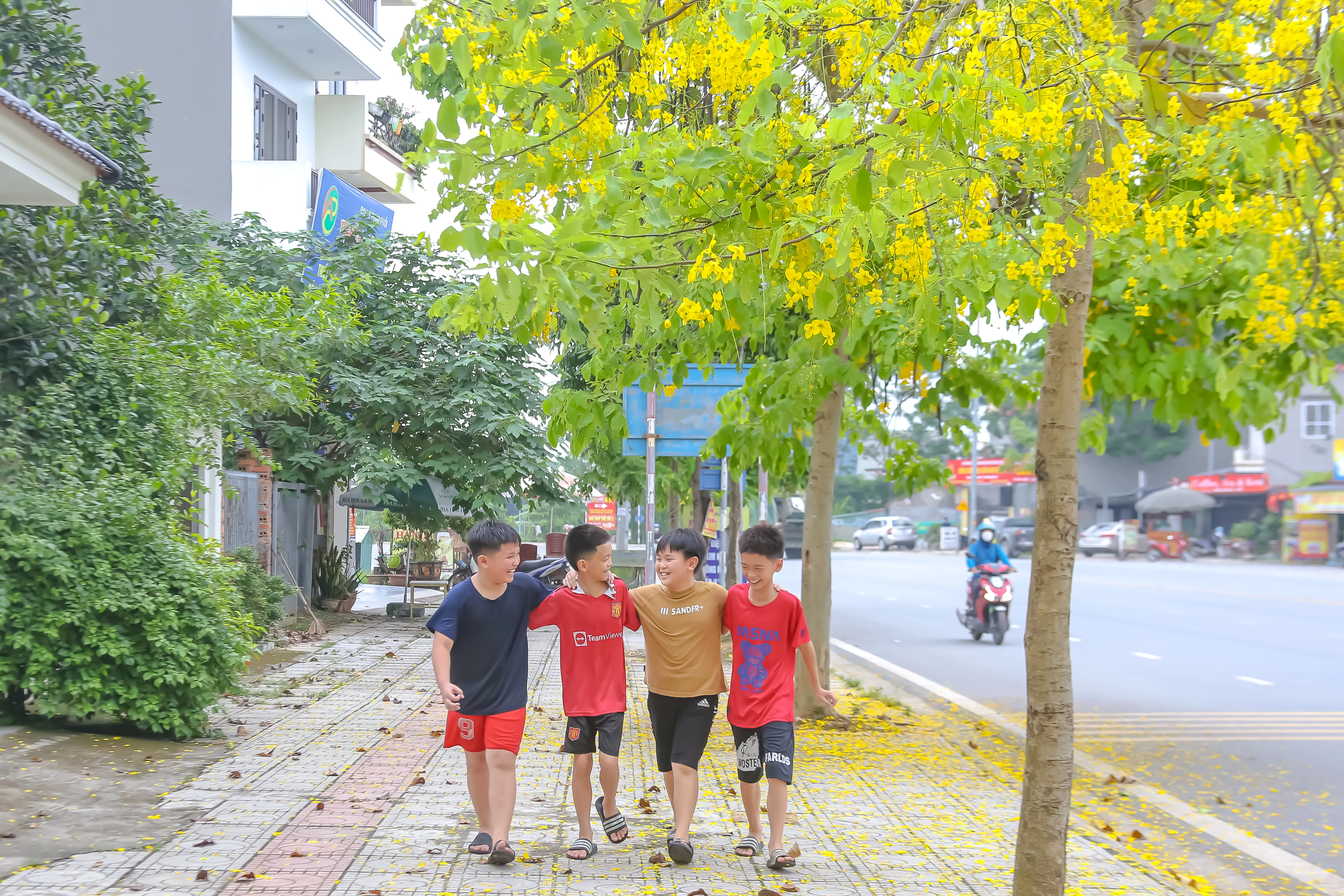 Sắc vàng nắng hè