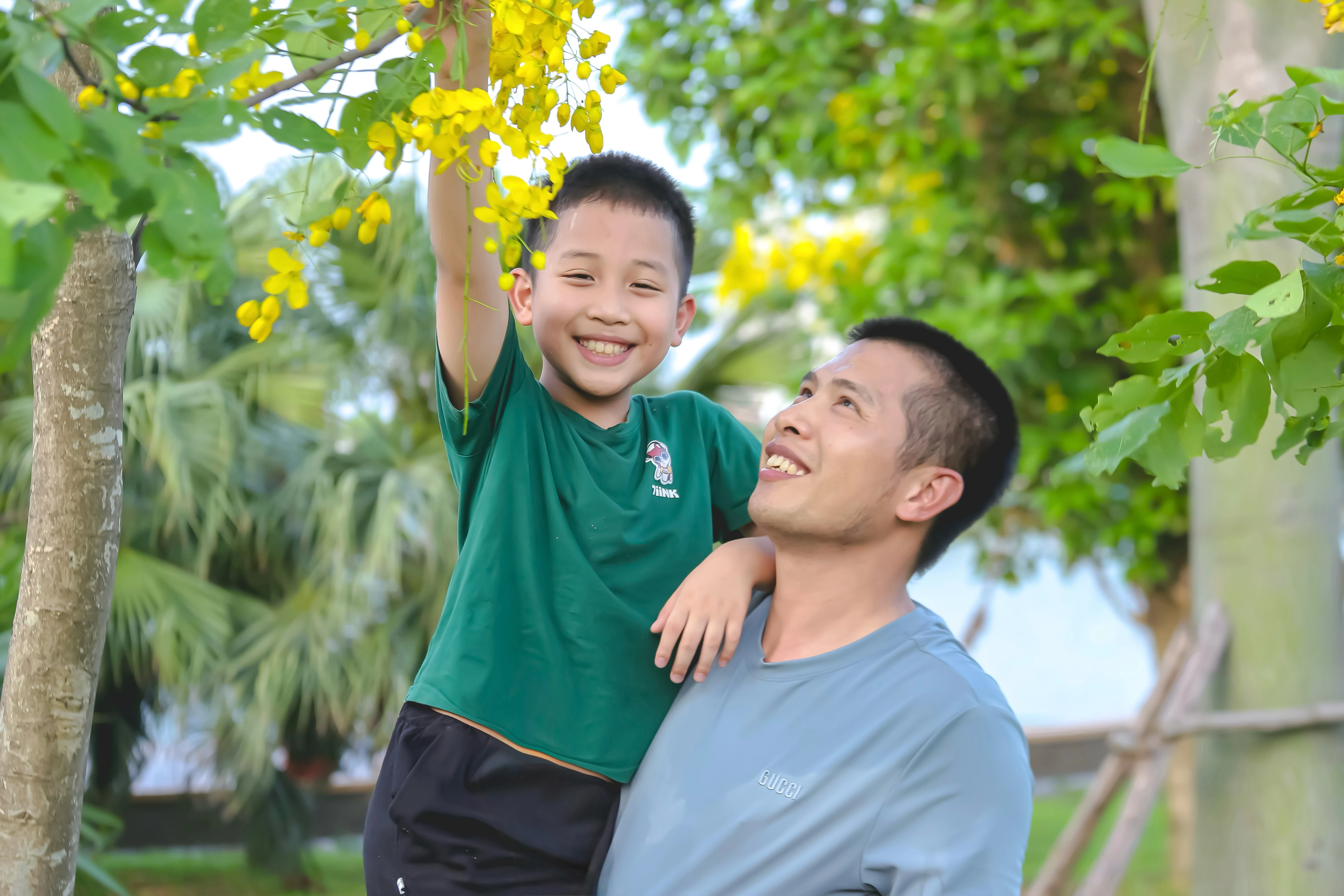 Sắc vàng nắng hè