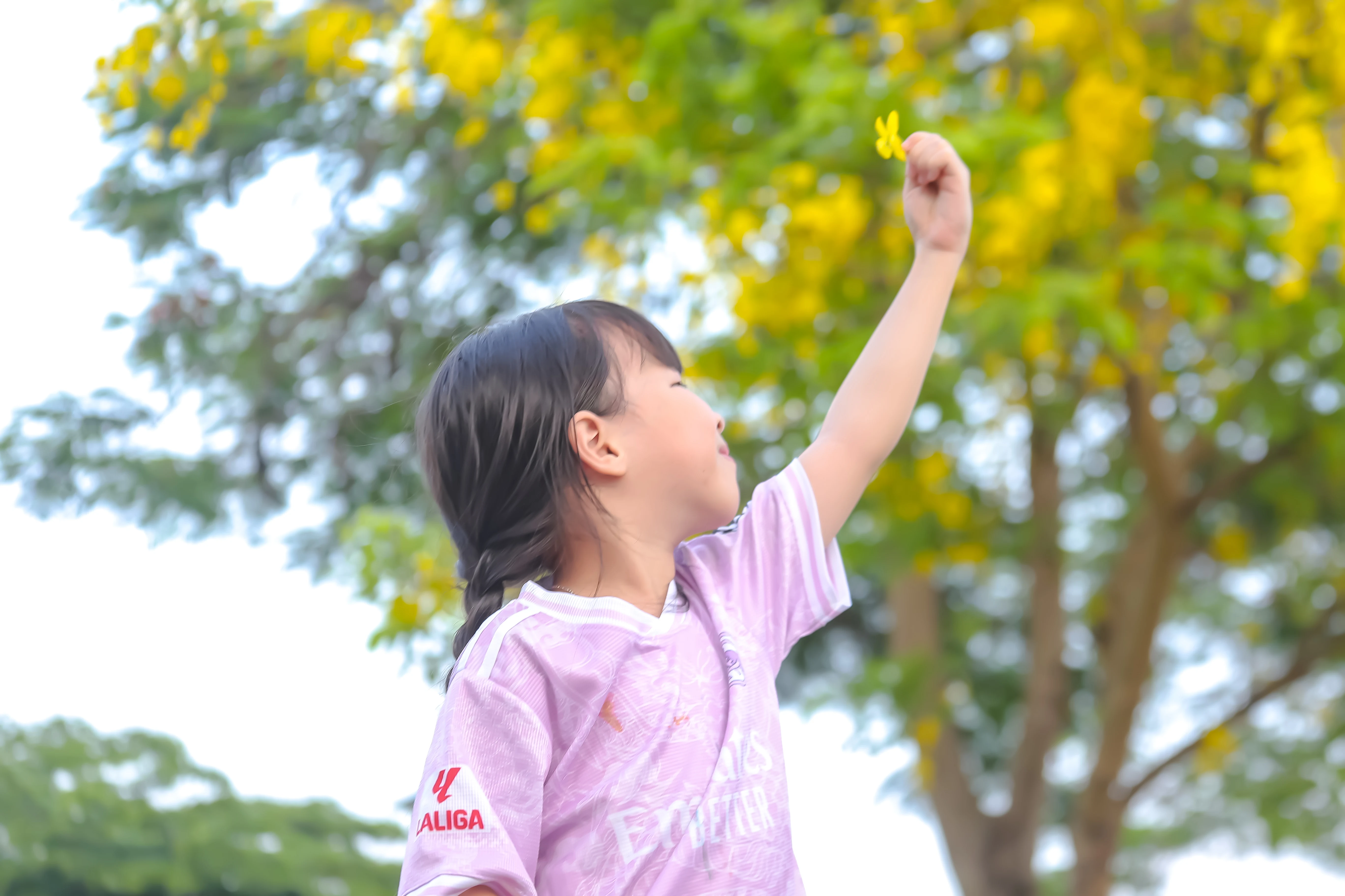 Sắc vàng nắng hè