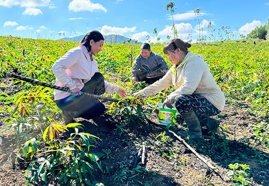 Thấy gì từ những lá thư xin thoát nghèo ở Vĩnh Sơn