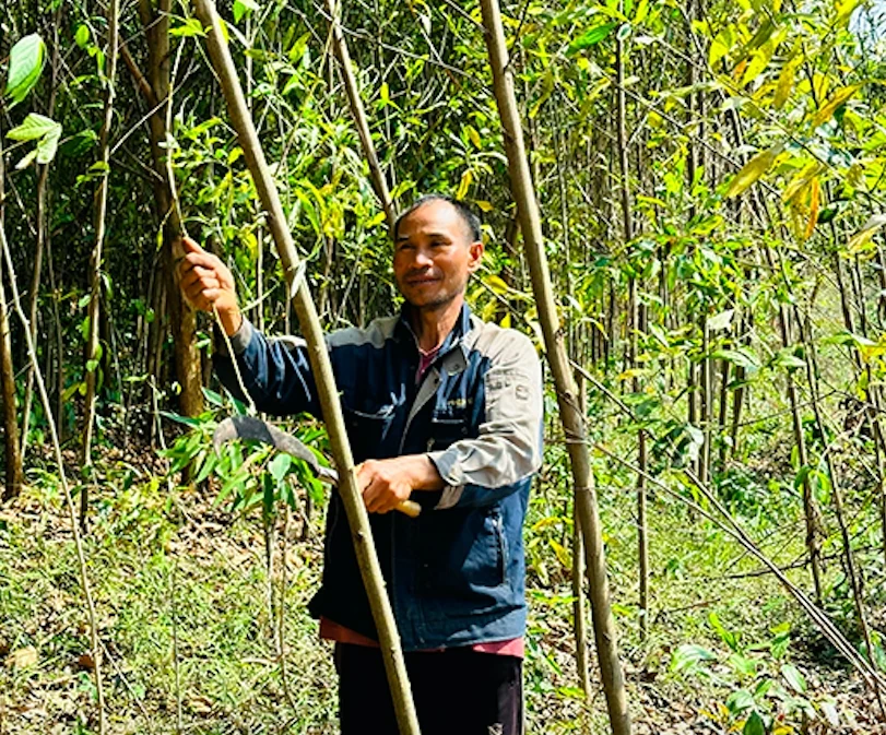 Thấy gì từ những lá thư xin thoát nghèo ở Vĩnh Sơn