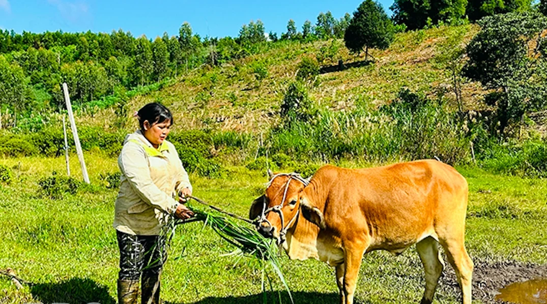 Thấy gì từ những lá thư xin thoát nghèo ở Vĩnh Sơn