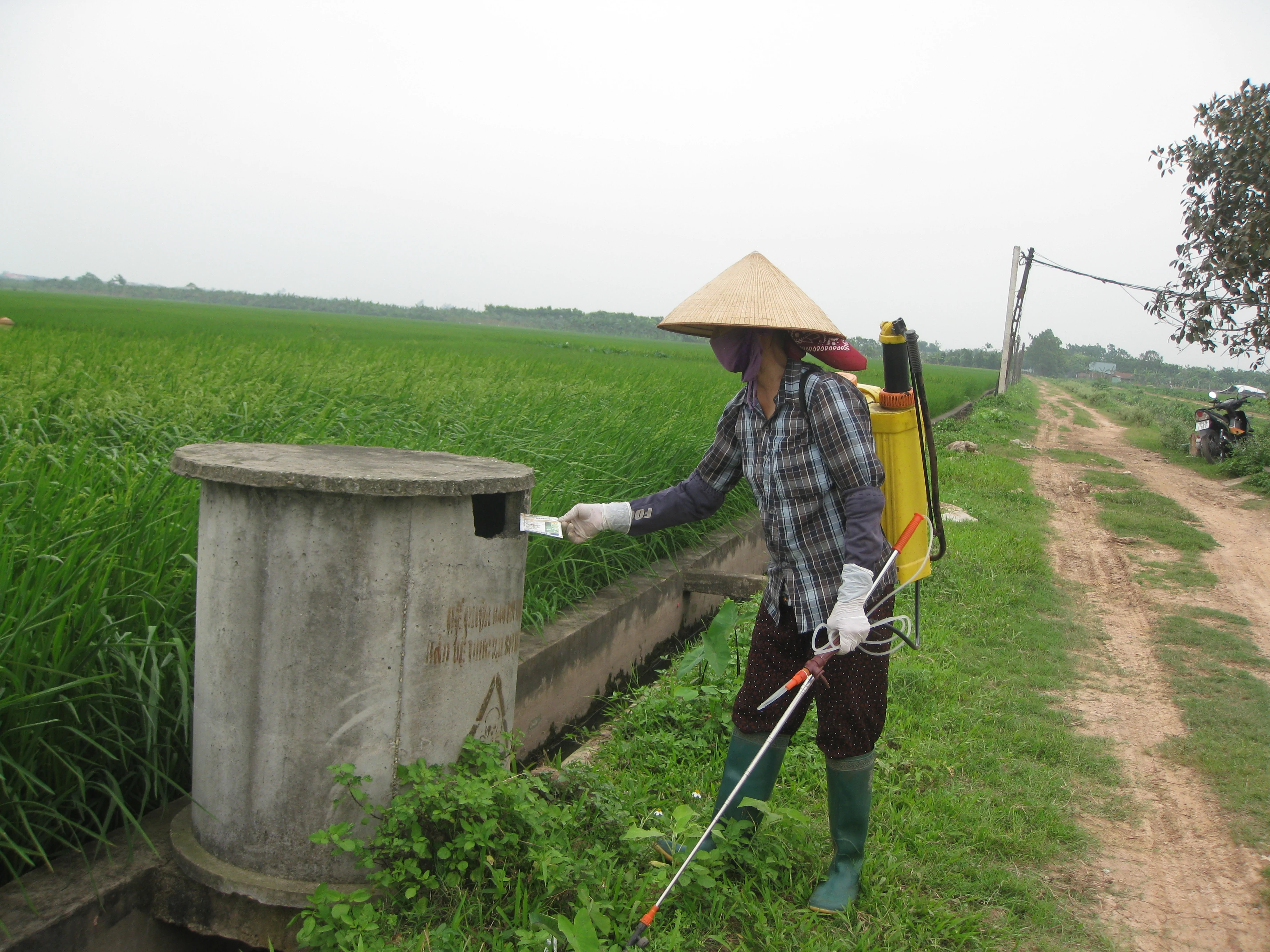 Chung tay giảm thiểu rác thải nhựa, xây dựng lối sống xanh