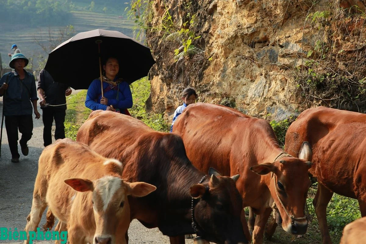 Dấu chân người lính Biên phòng giữa non cao Si Ma Cai