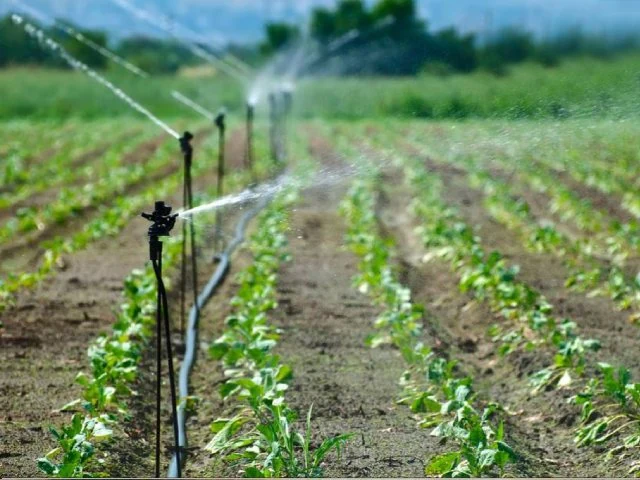 Ống HDPE – Giải pháp tưới tiêu thông minh cho nông nghiệp hiện đại