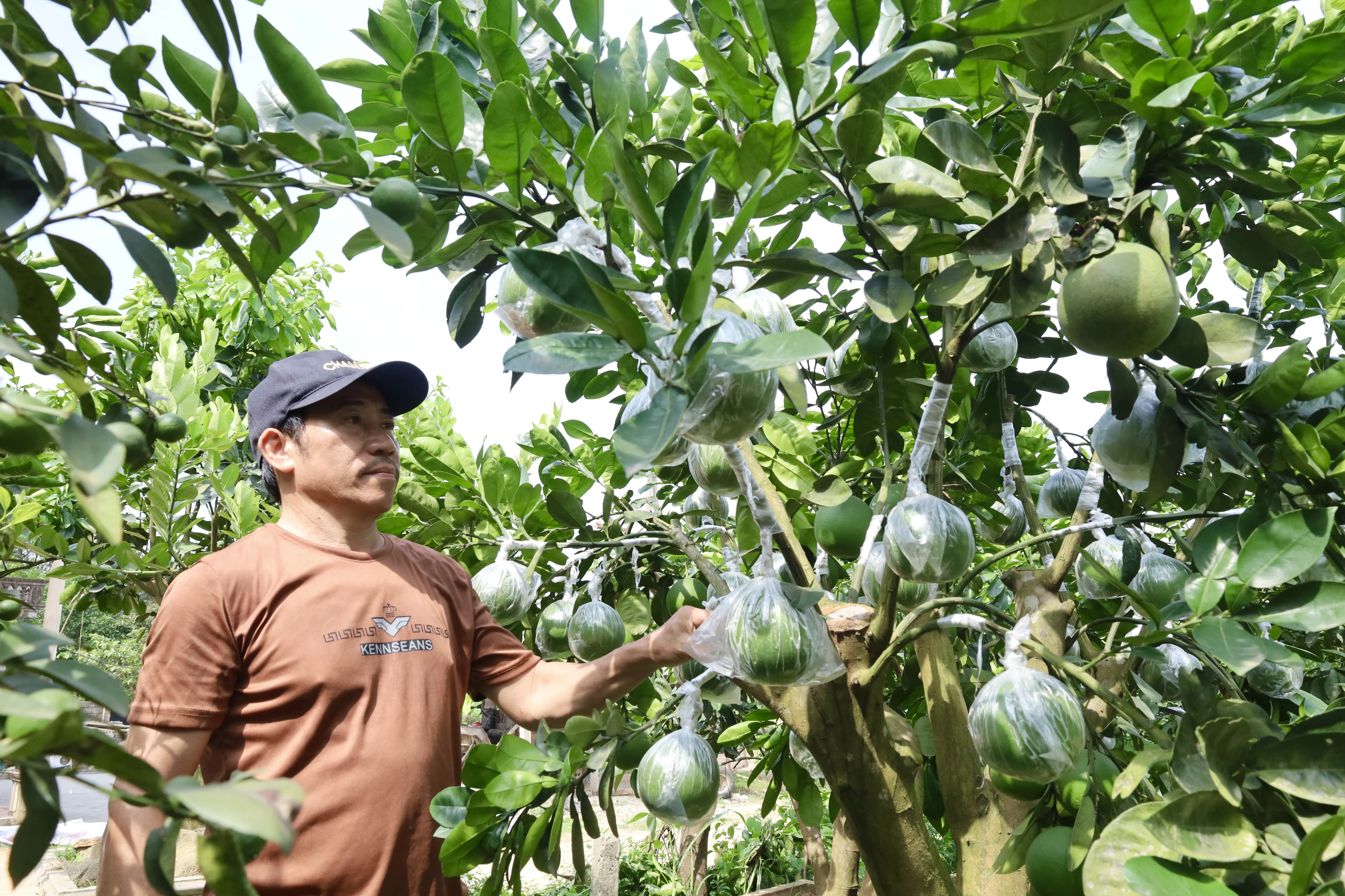 Đưa đặc sản địa phương thành sản phẩm OCOP