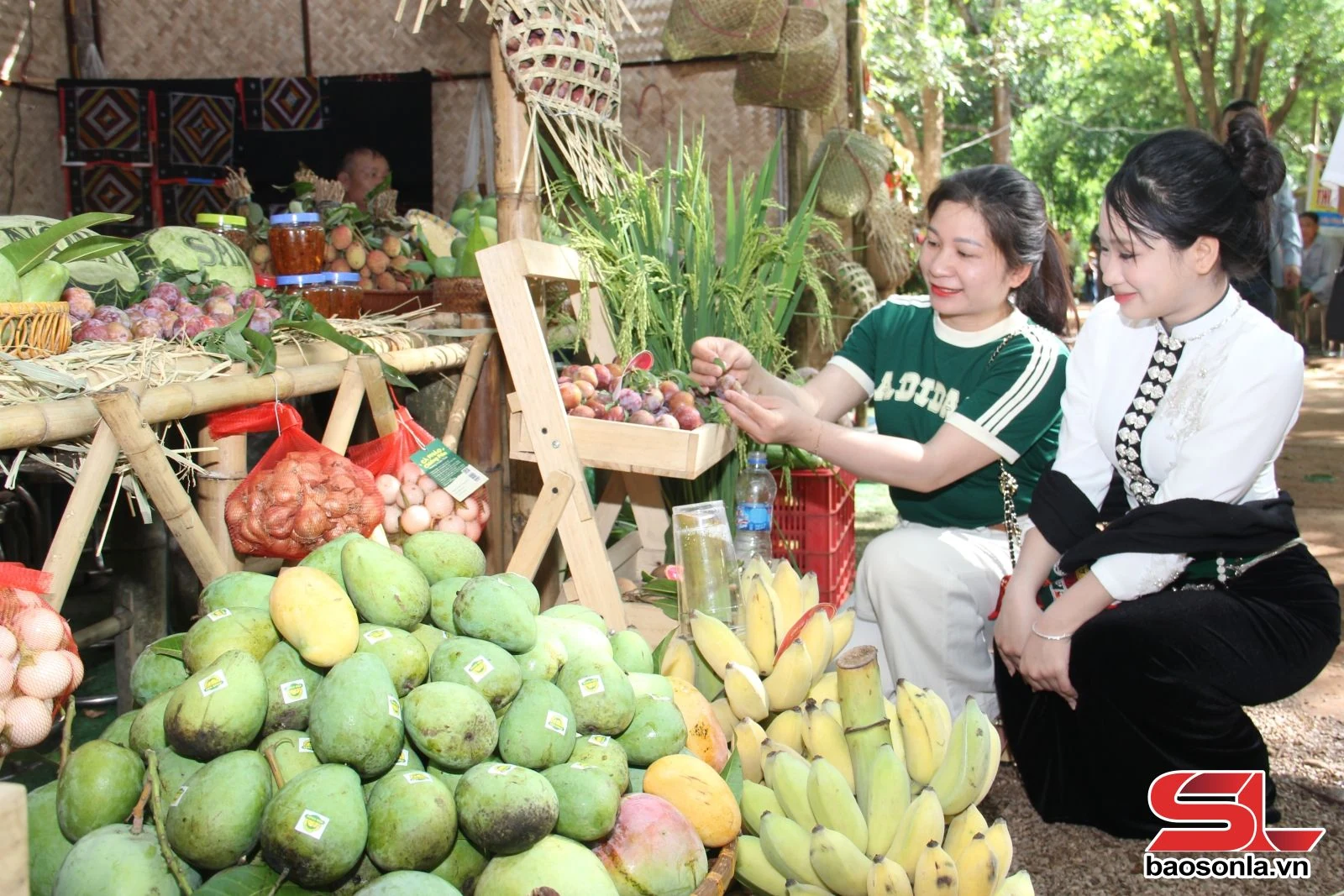 Du lịch sinh thái từ vùng cây ăn quả
