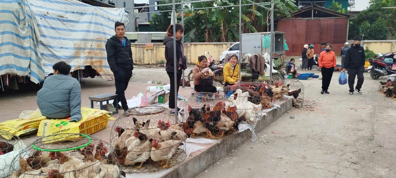 Giá cả thị trường ngày 28/6/2025