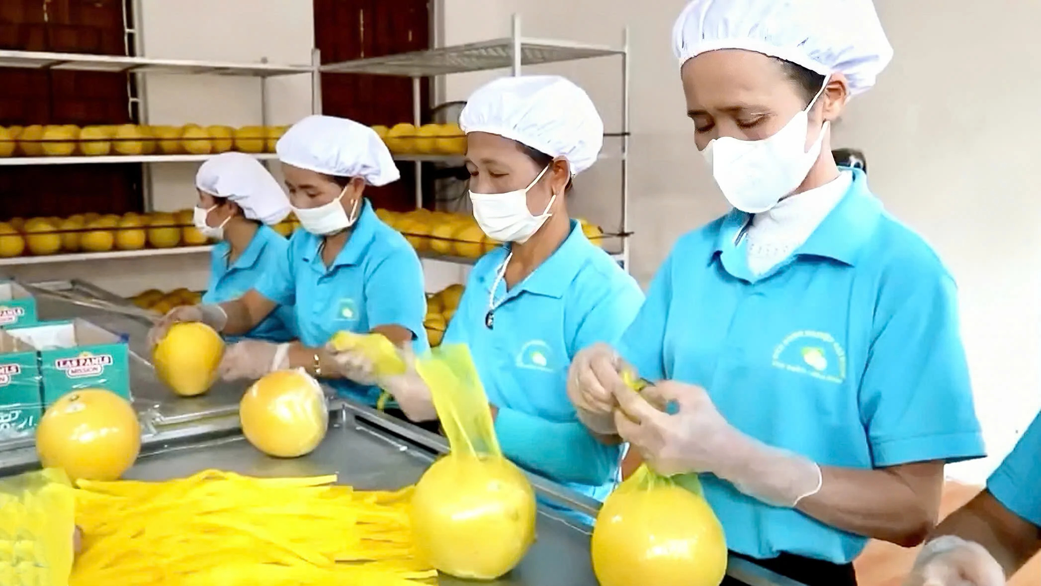 Nữ nông dân Yên Trị biến đất cằn thành vườn cây bạc tỷ