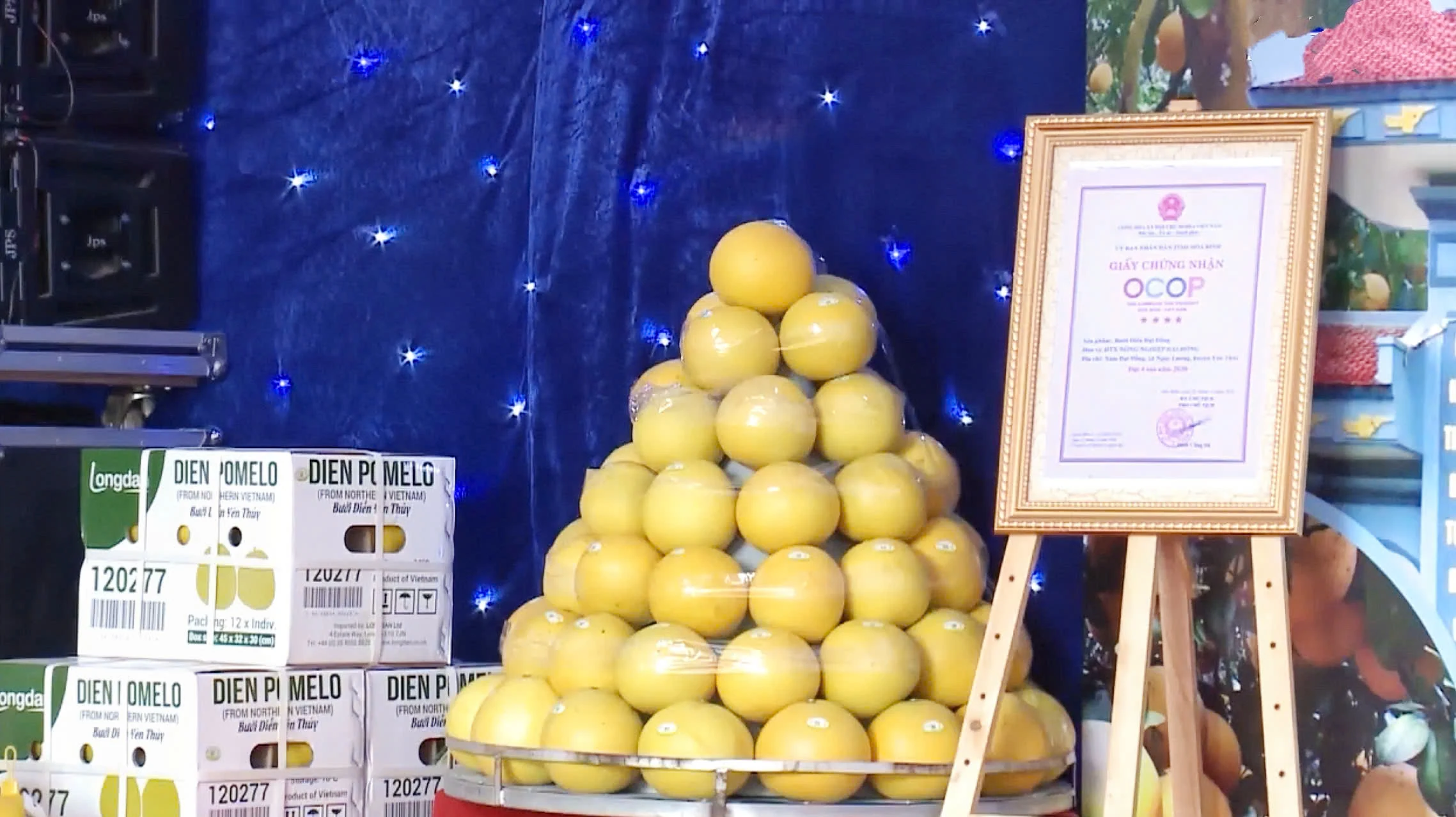 Nữ nông dân Yên Trị biến đất cằn thành vườn cây bạc tỷ