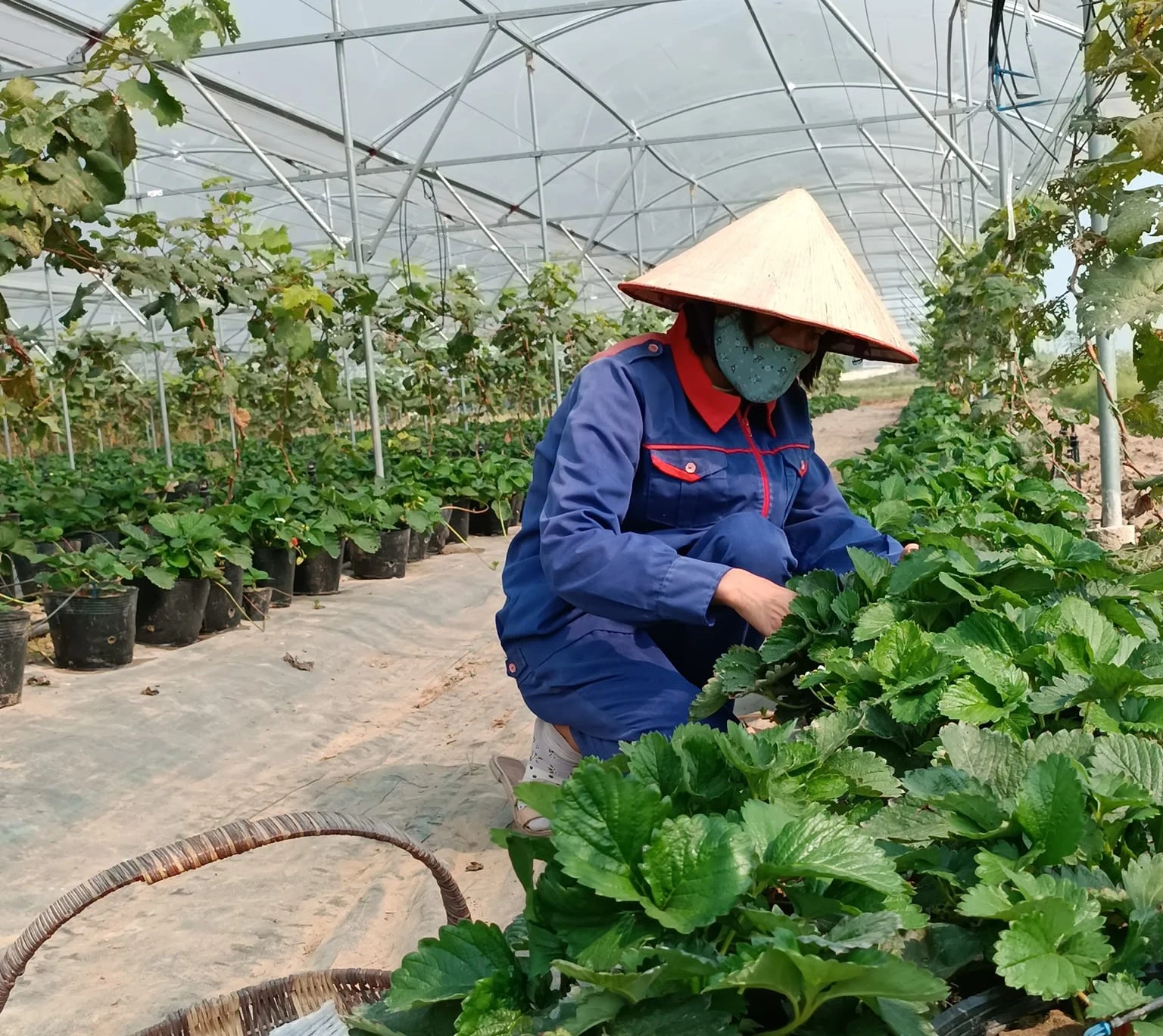 Thúc đẩy phát triển kinh tế tuần hoàn: Hướng đi tất yếu cho tăng trưởng bền vững