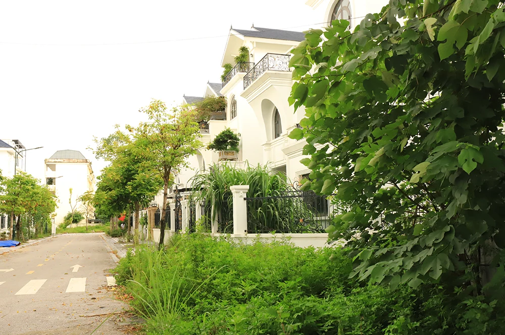 Bất động sản phường Hòa Bình trầm lắng sau sáp nhập