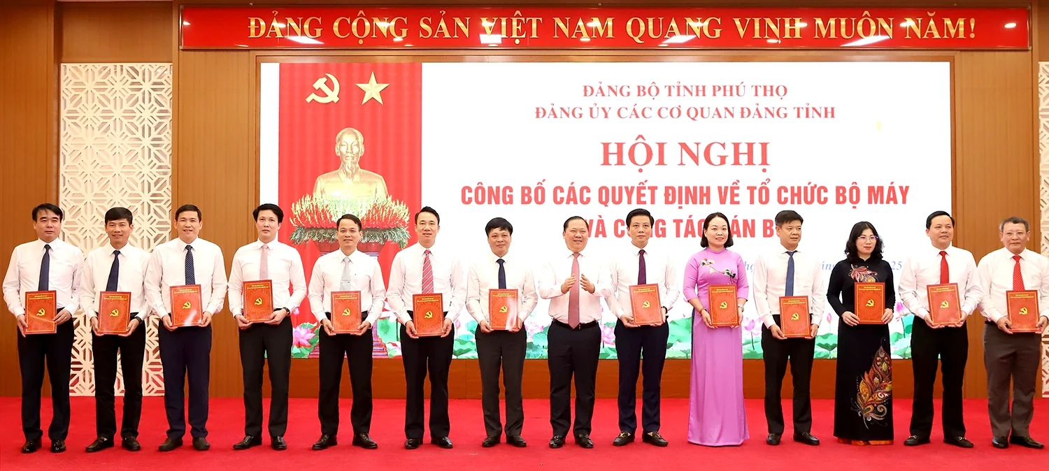 Công bố các quyết định thành lập tổ chức Đảng trực thuộc Đảng bộ các cơ quan Đảng tỉnh