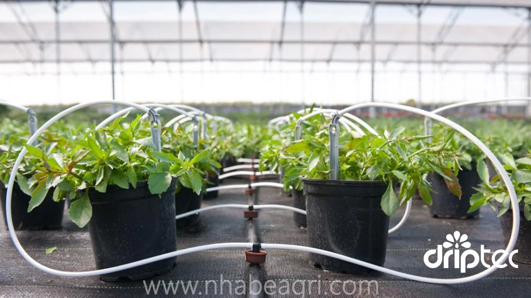 Top 5 loại ống phổ biến dùng trong hệ thống tưới bạn nên biết