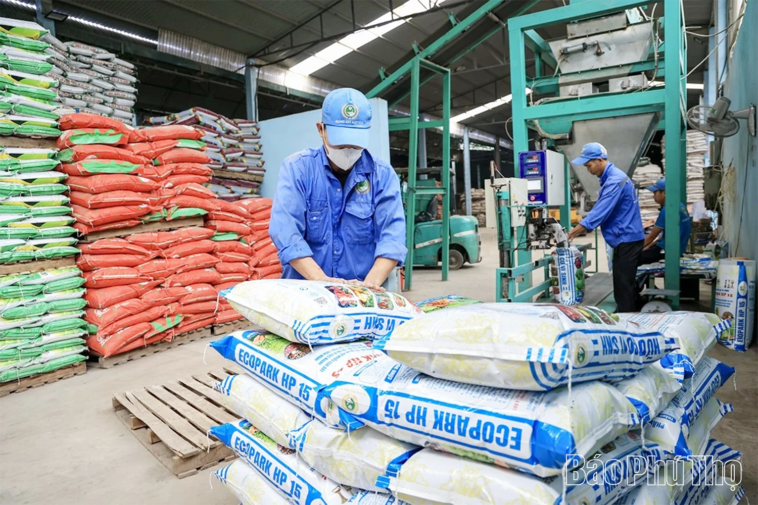 Củng cố, phát huy vai trò của tổ chức Đảng sau sáp nhập