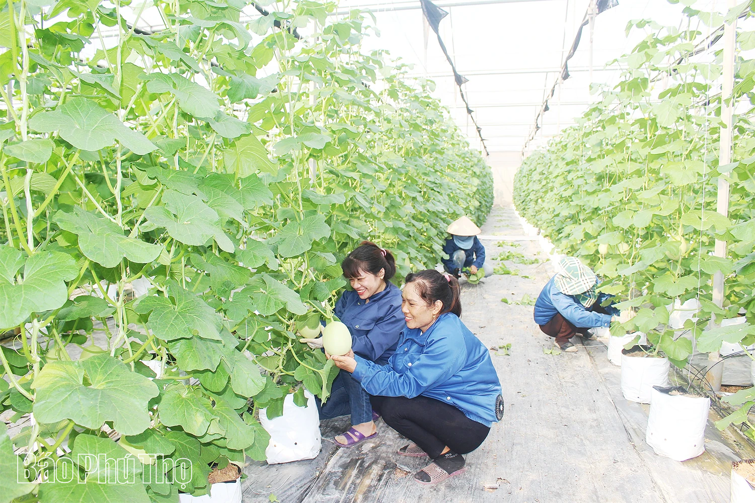 Củng cố, phát huy vai trò của tổ chức Đảng sau sáp nhập