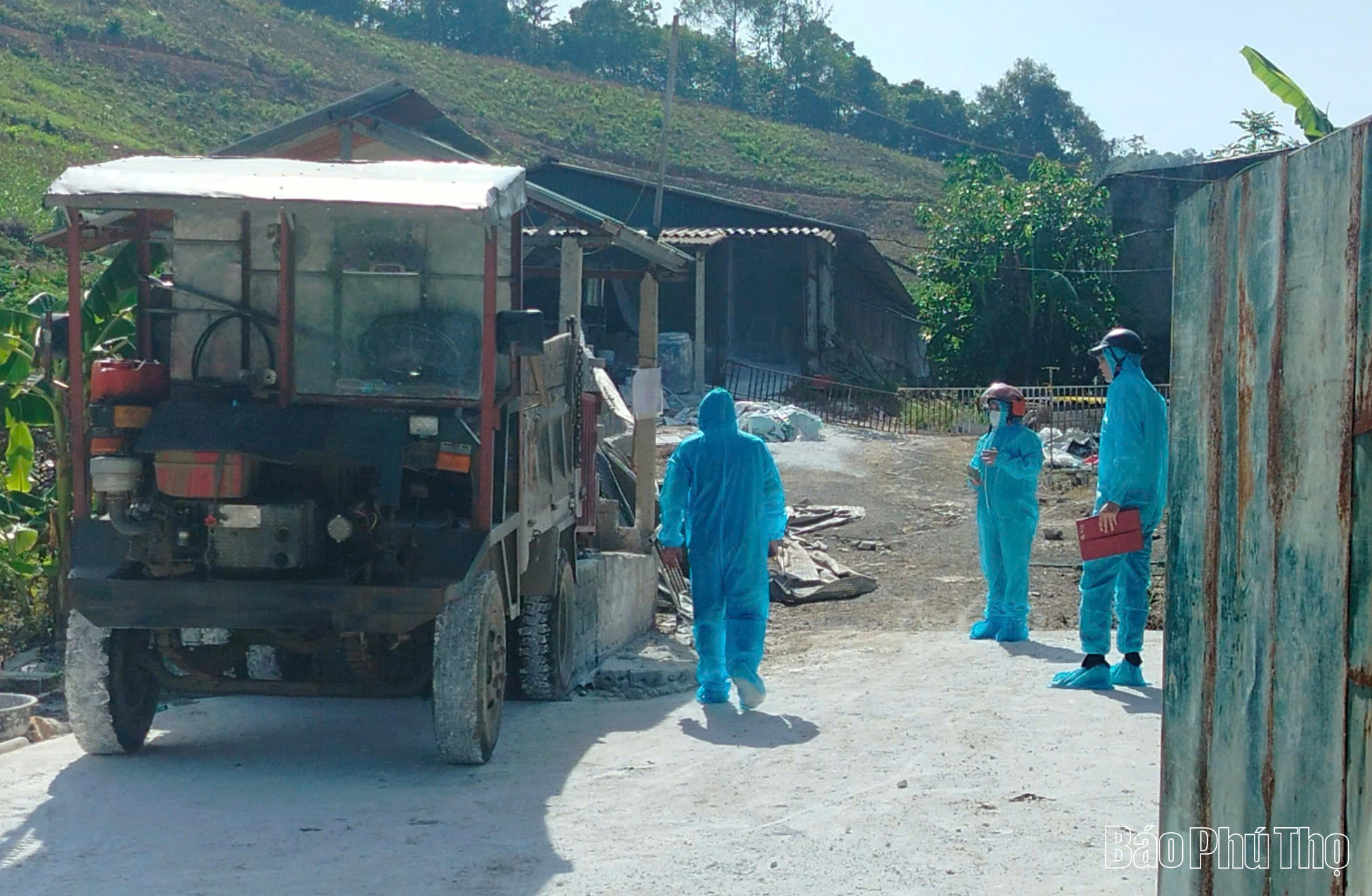 Toàn tỉnh có 66 xã có ổ bệnh dịch tả lợn châu Phi