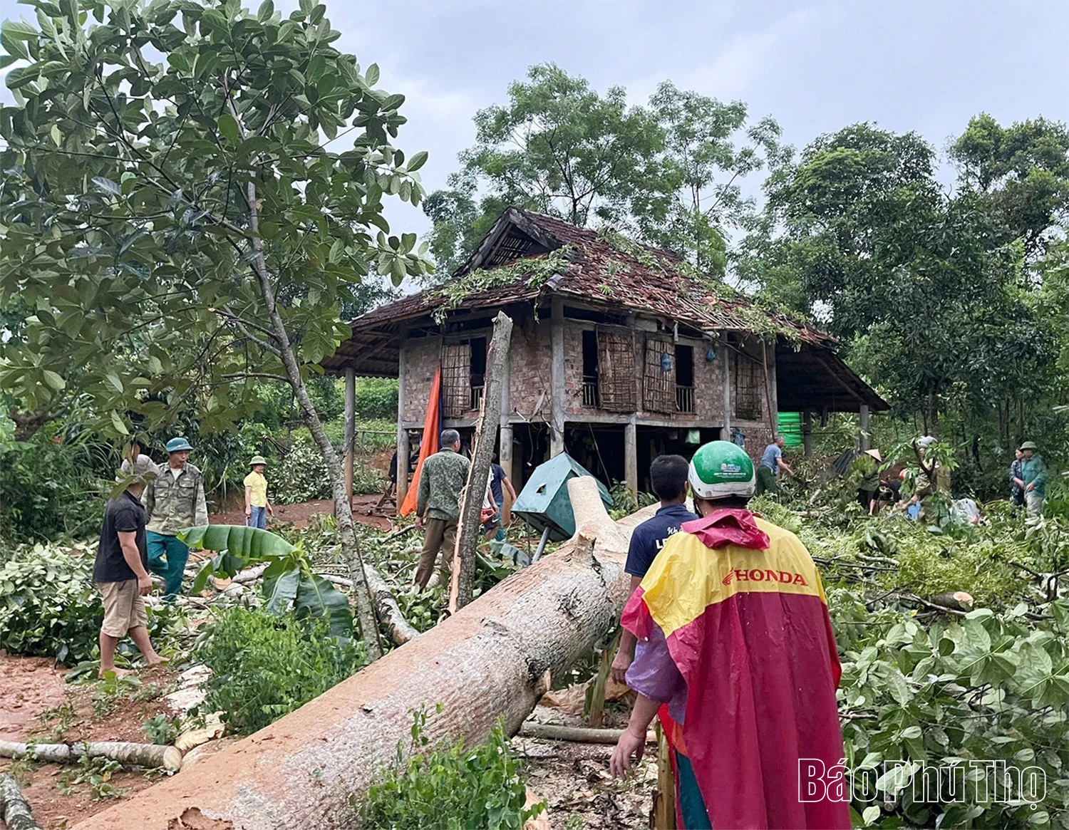 Phòng chống bão số 3: Không chủ quan, không chậm trễ