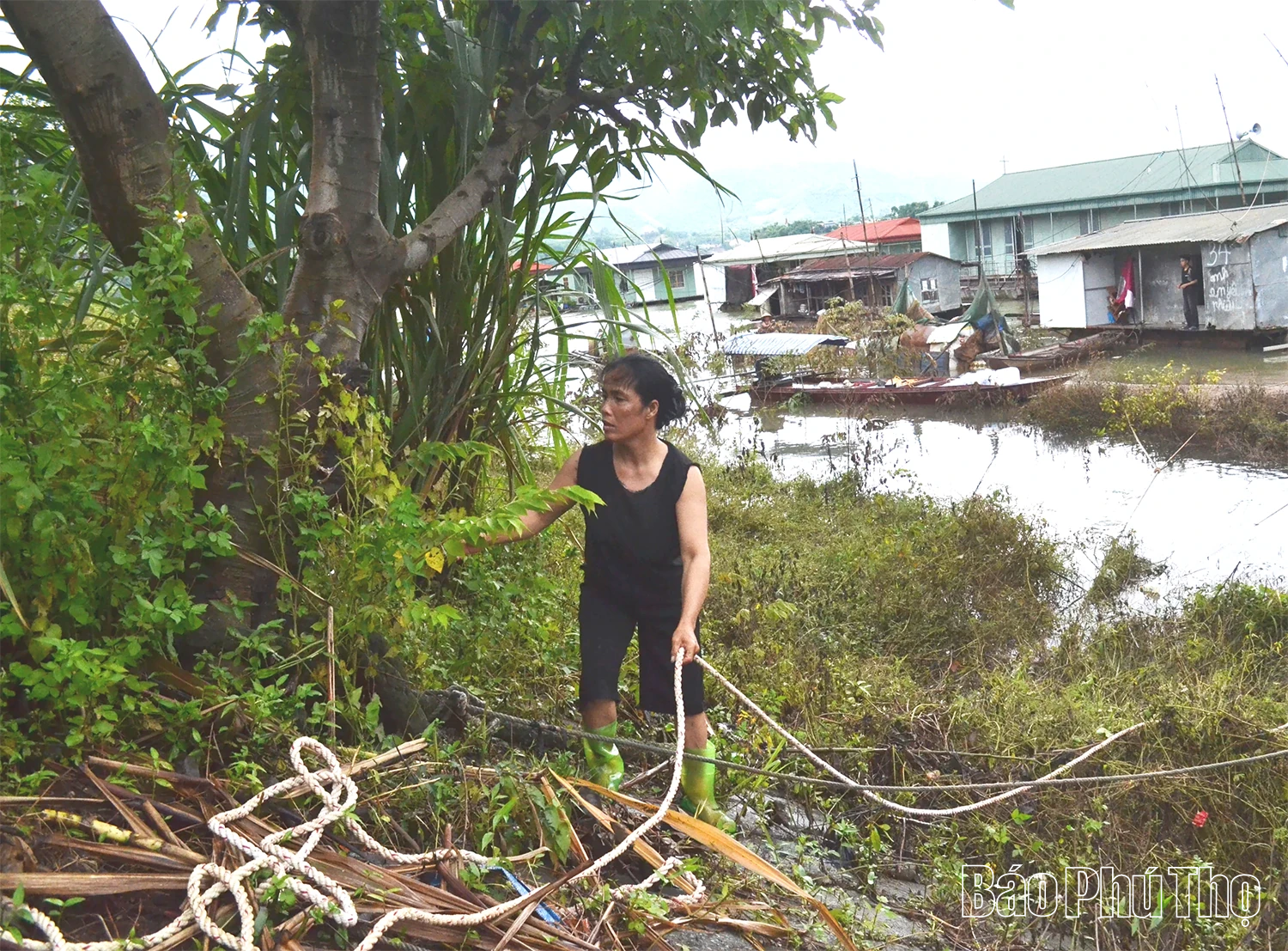 Phường Hoà Bình kịp thời ứng phó với cơn bão số 3 (Wipha)