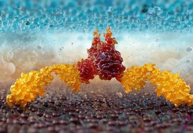 Trung Quốc công bố liệu pháp chữa ung thư giá rẻ, rút ngắn thời gian điều trị