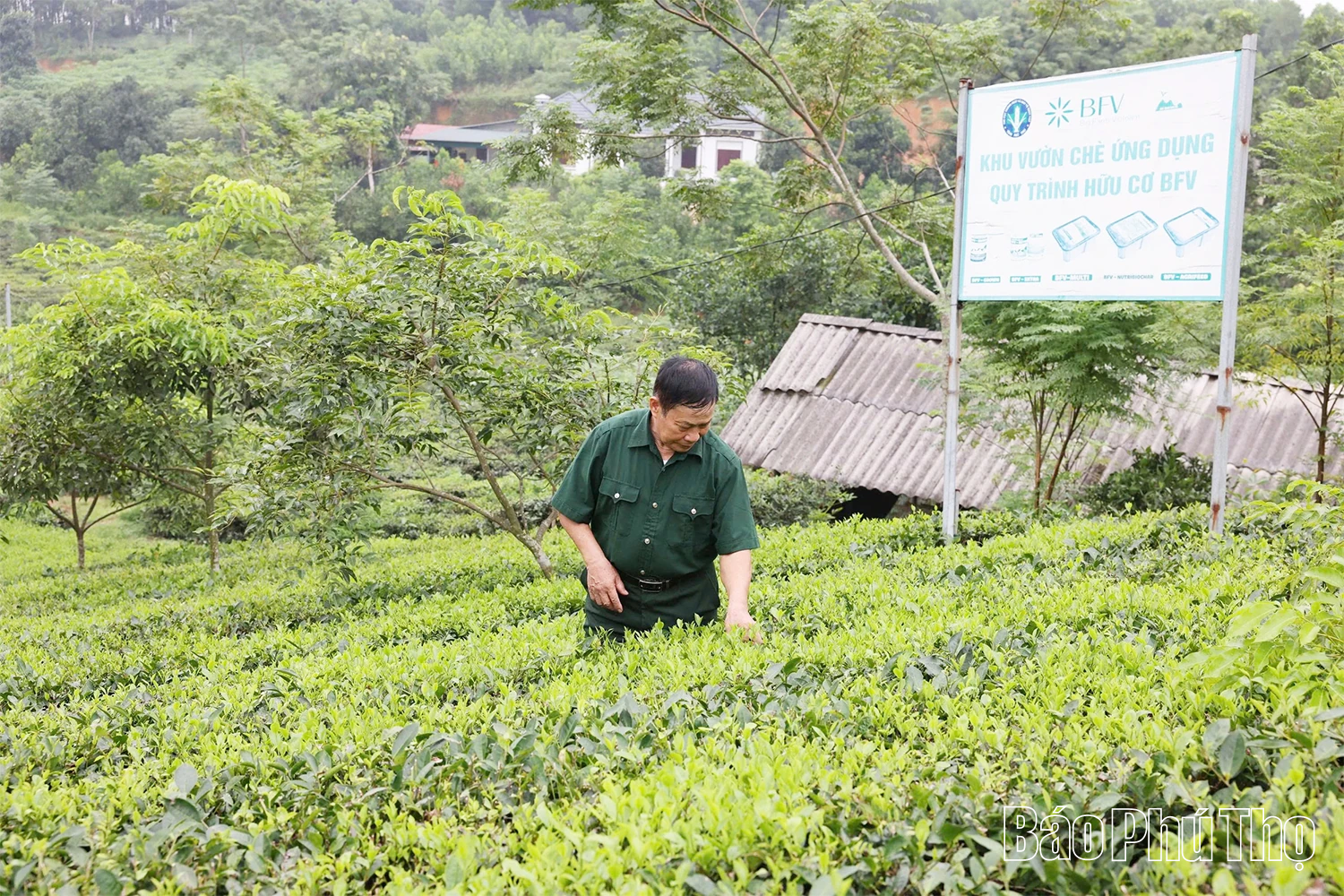 Một thời chinh chiến, một đời dựng xây