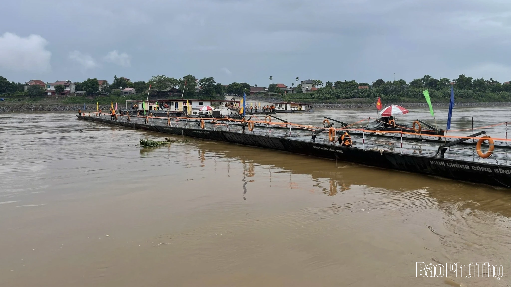 Cầu phao Phong Châu hoạt động từ 12 giờ ngày 31/7